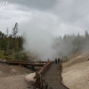 yellowstone_4869