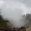 yellowstone_4870
