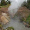 yellowstone_4877