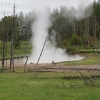yellowstone_4907