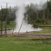 yellowstone_4908