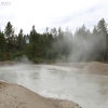 yellowstone_4922