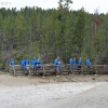 yellowstone_4923
