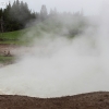 yellowstone_4939