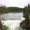 yellowstone_4948