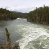 yellowstone_4953