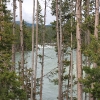 yellowstone_4957