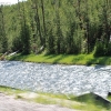 yellowstone_4962