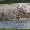 yellowstone_4984