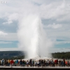 yellowstone_4990