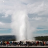 yellowstone_4994