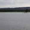 yellowstone_5411