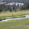 yellowstone_5596