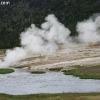 yellowstone_5635