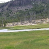 yellowstone_5642