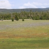 yellowstone_5655