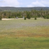 yellowstone_5656