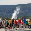 yellowstone_5660