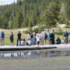 yellowstone_5665