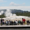 yellowstone_5666