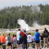 yellowstone_5681