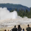 yellowstone_5688