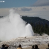 yellowstone_5694