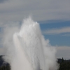 yellowstone_5708