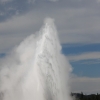 yellowstone_5713
